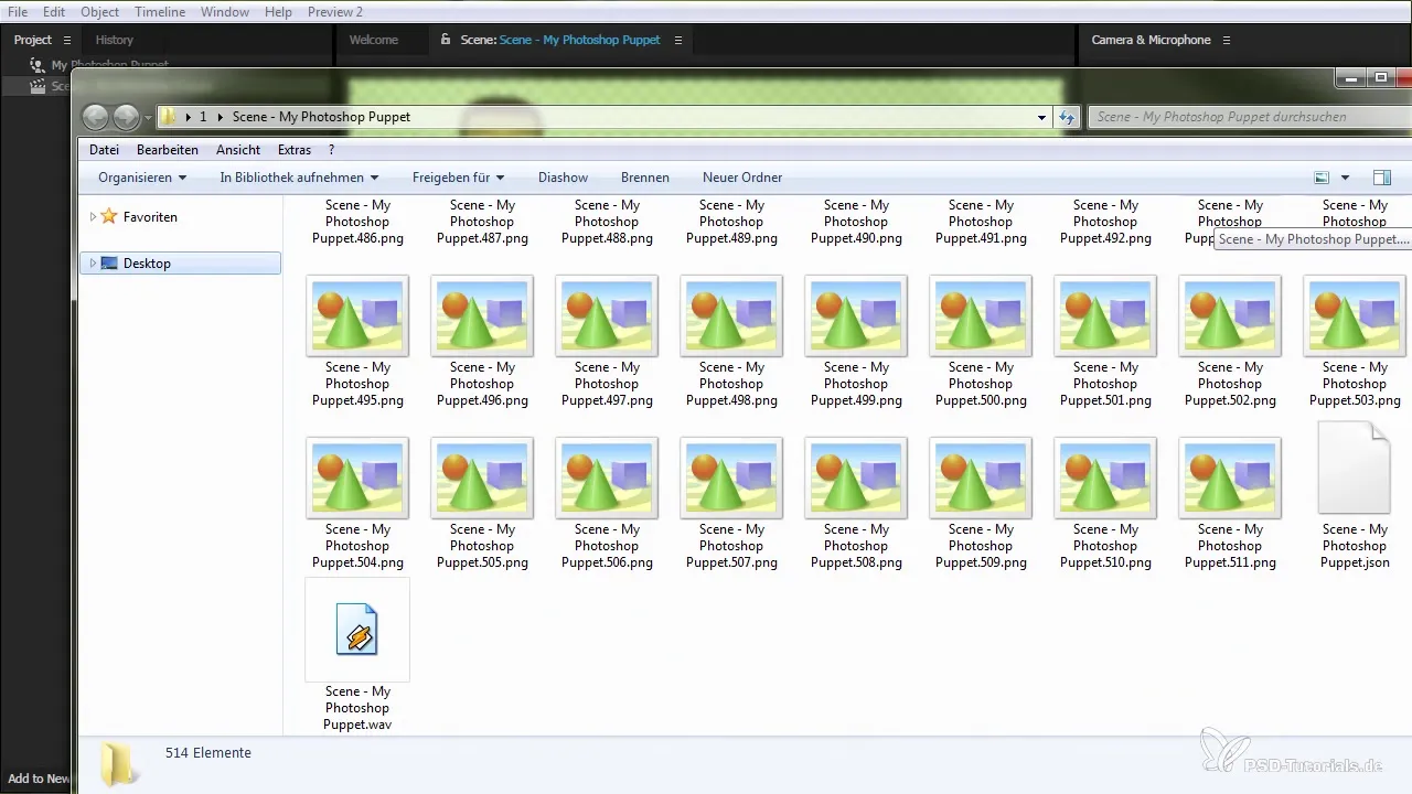 Charakter Export w After Effects: Instrukcja dla Character Animatora