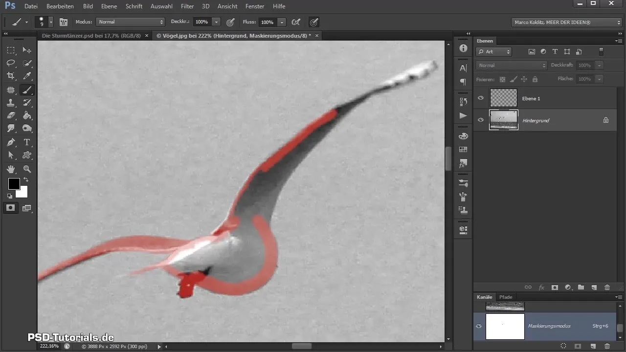 Isolate and adjust birds in Photoshop compositing