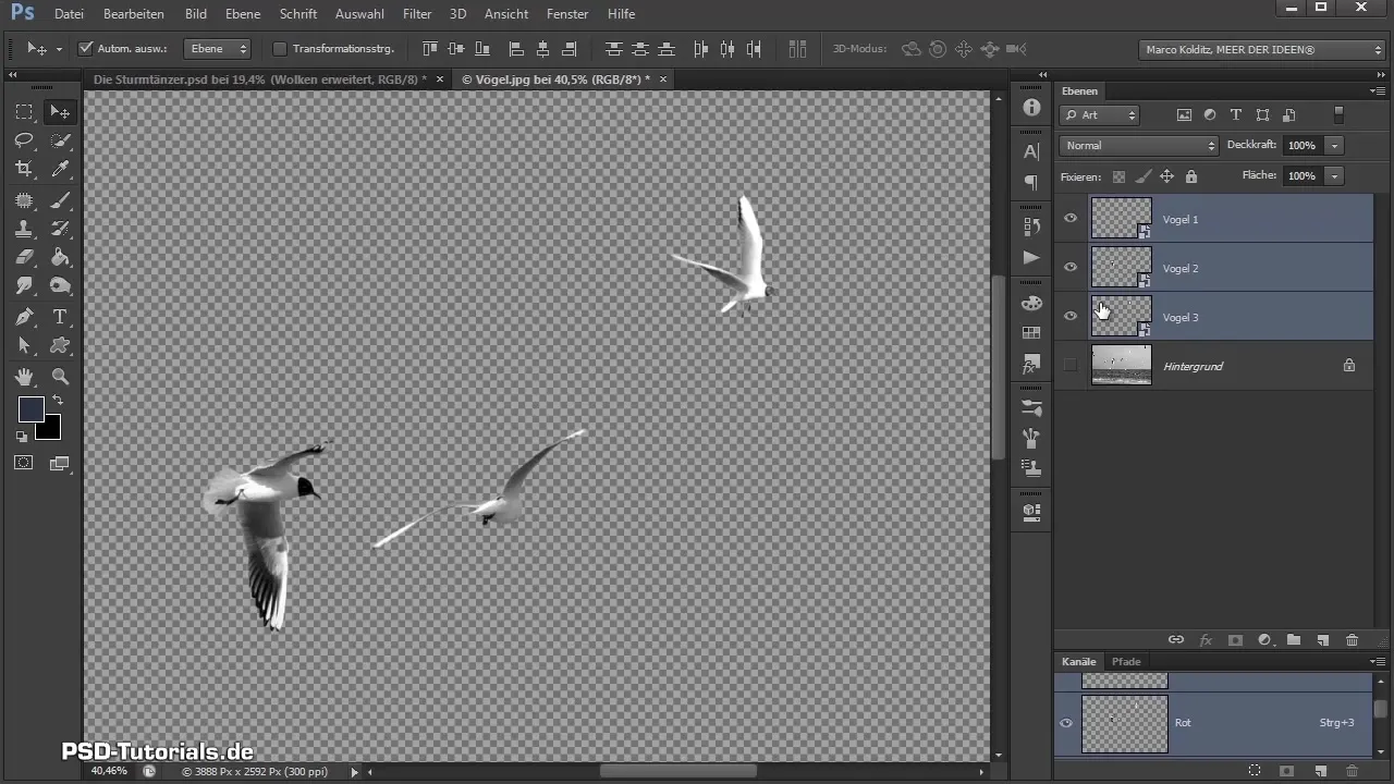 Isolate birds and adjust them in Photoshop compositing