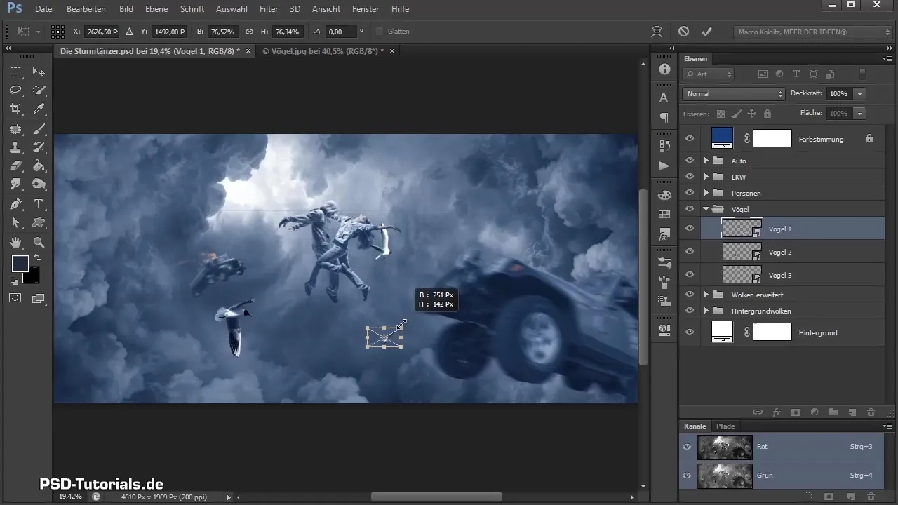 Isolate birds and adjust in Photoshop Composing