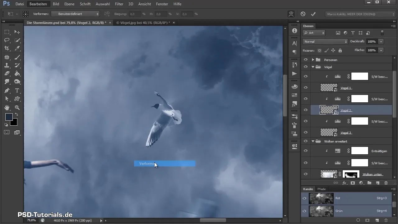 Isolate and adjust birds in Photoshop compositing