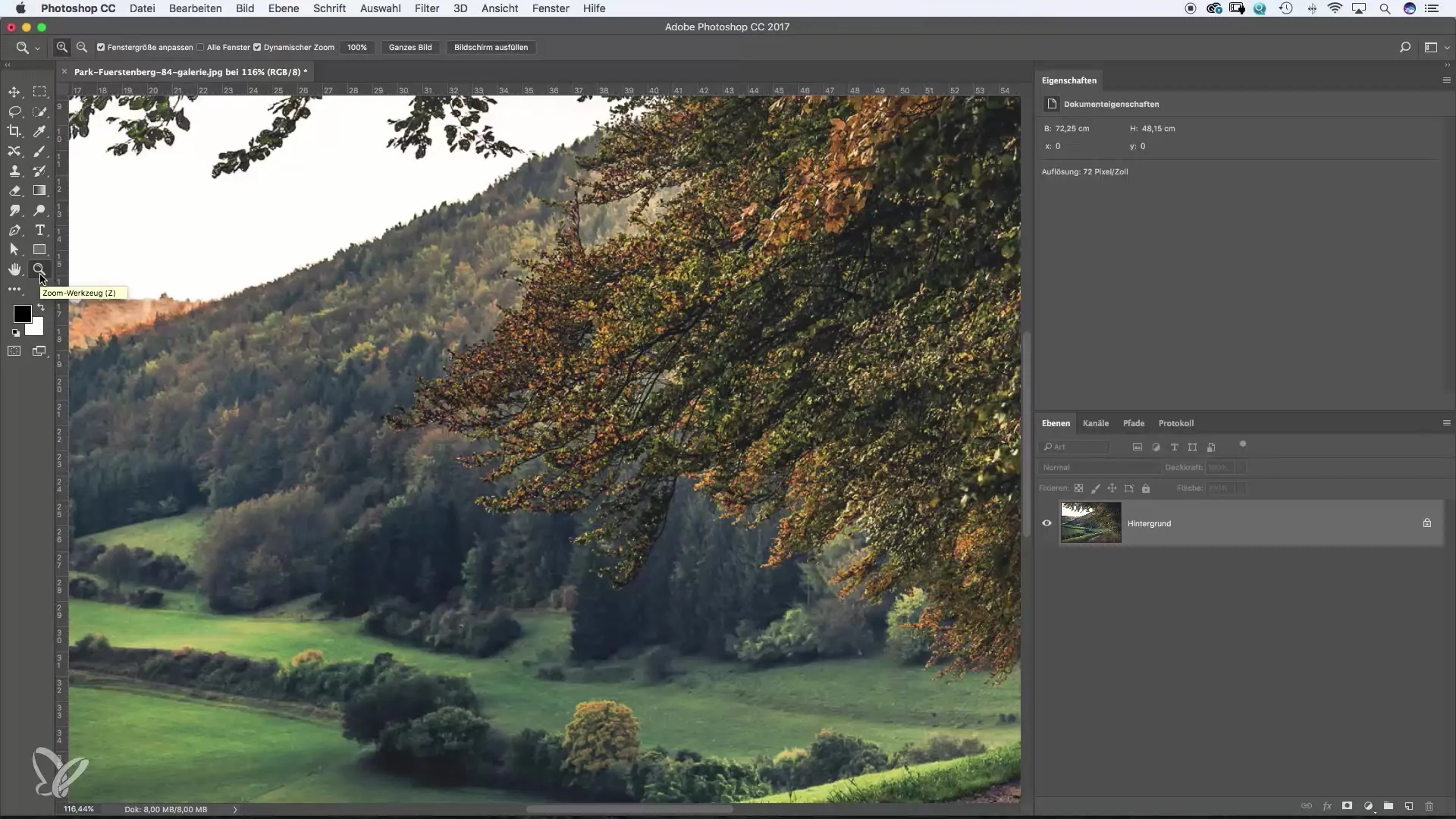 Tombol pintas Photoshop untuk pemula dan yang ingin naik level