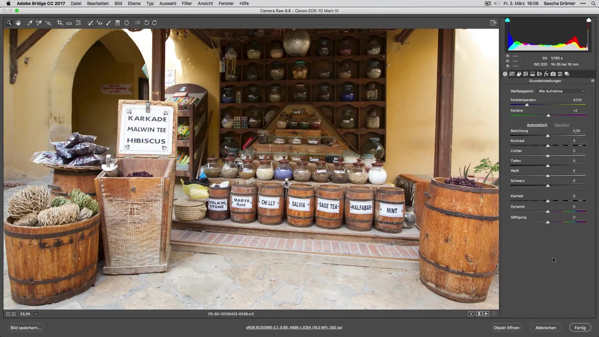 Optimize quick Raw development for vacation photos