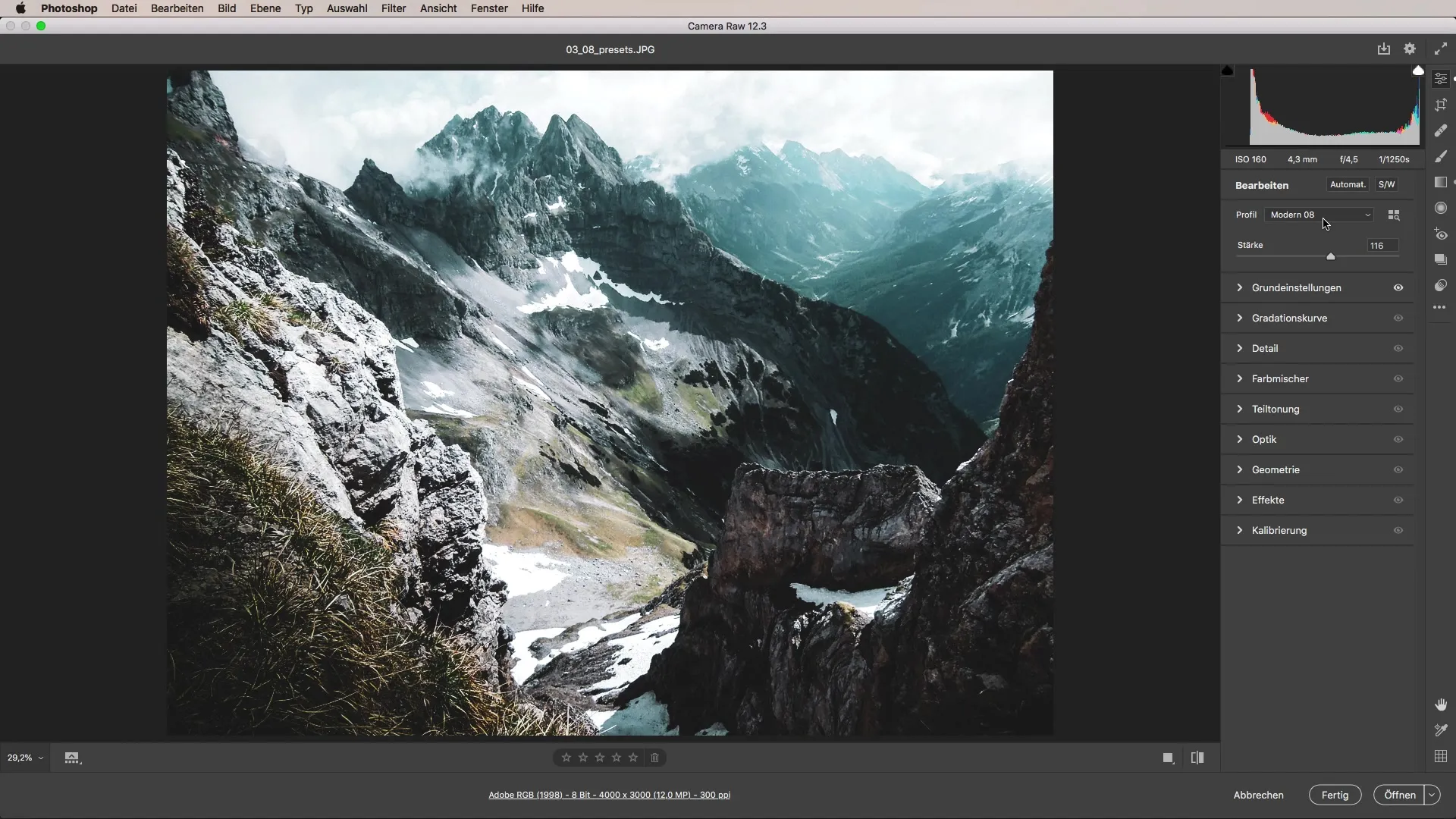 Flexibles Arbeiten mit Presets in Camera Raw