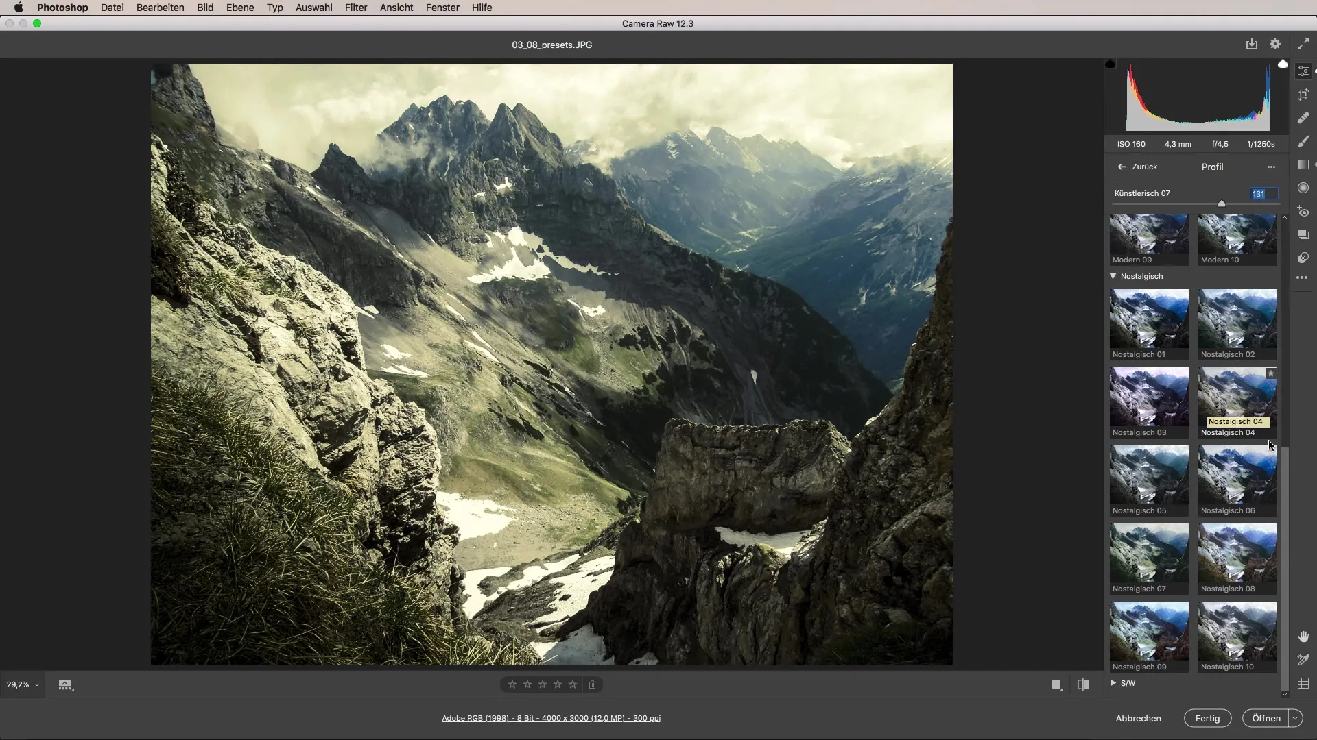 Flexibles Arbeiten mit Presets in Camera Raw