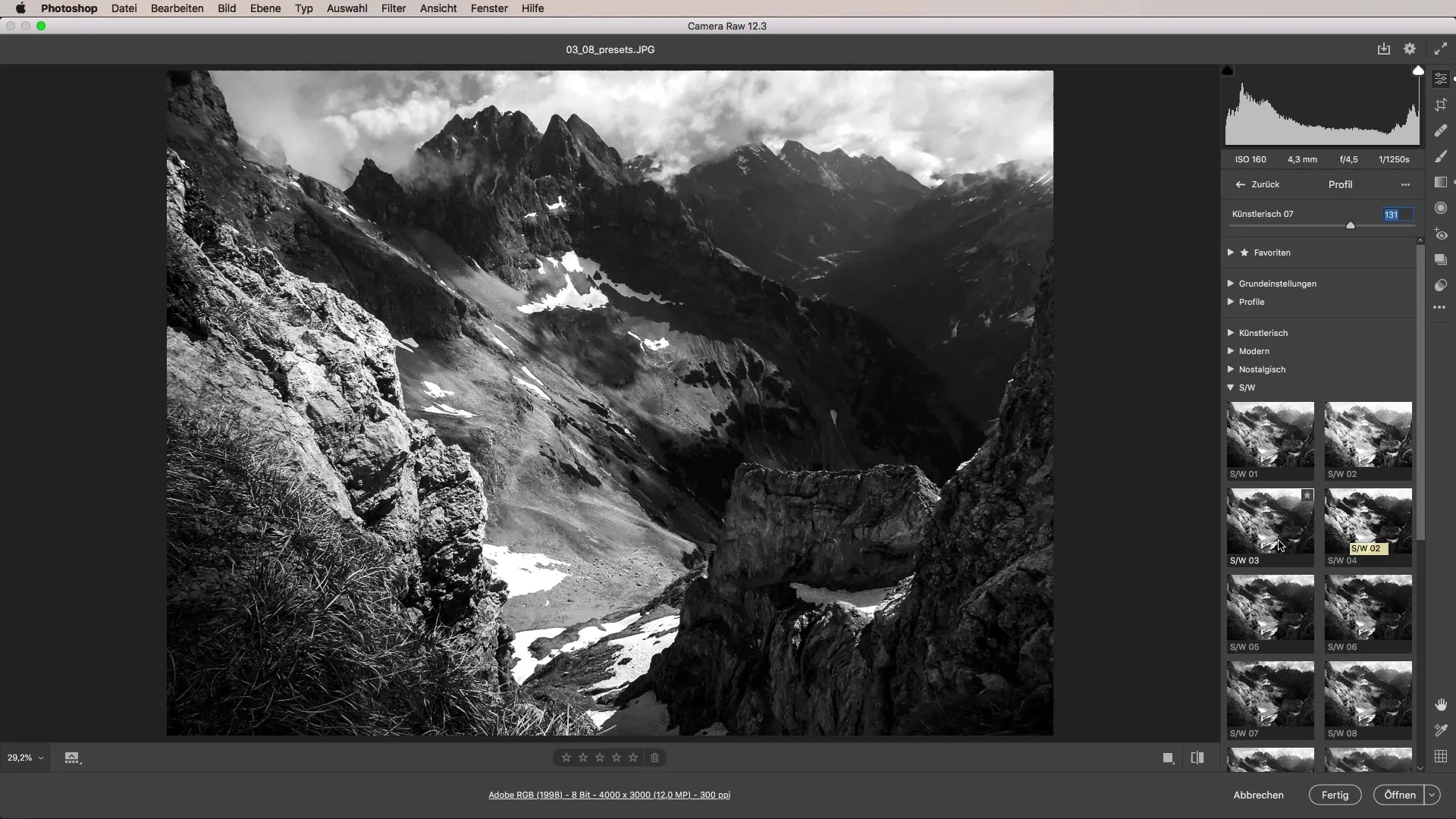 Flexibles Arbeiten mit Presets in Camera Raw