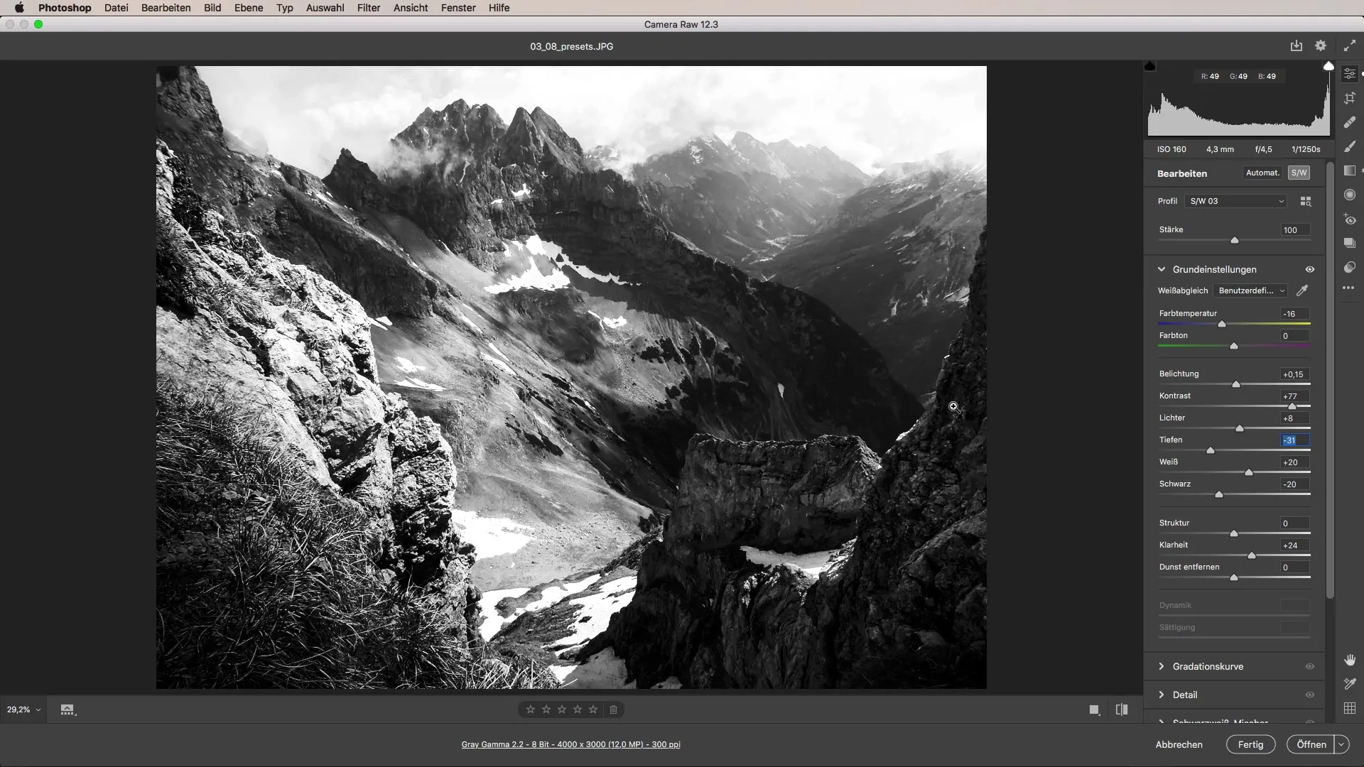 Flexibles Arbeiten mit Presets in Camera Raw