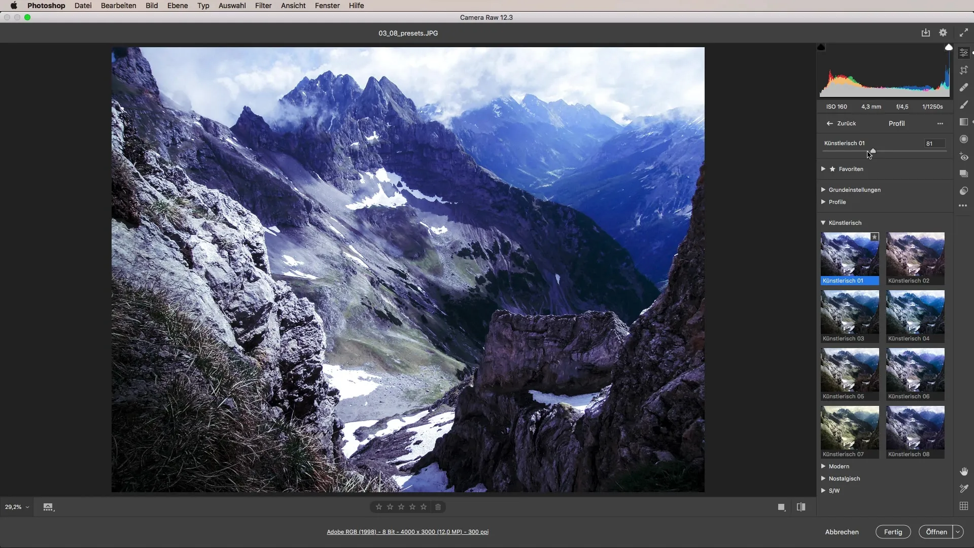 Flexibles Arbeiten mit Presets in Camera Raw
