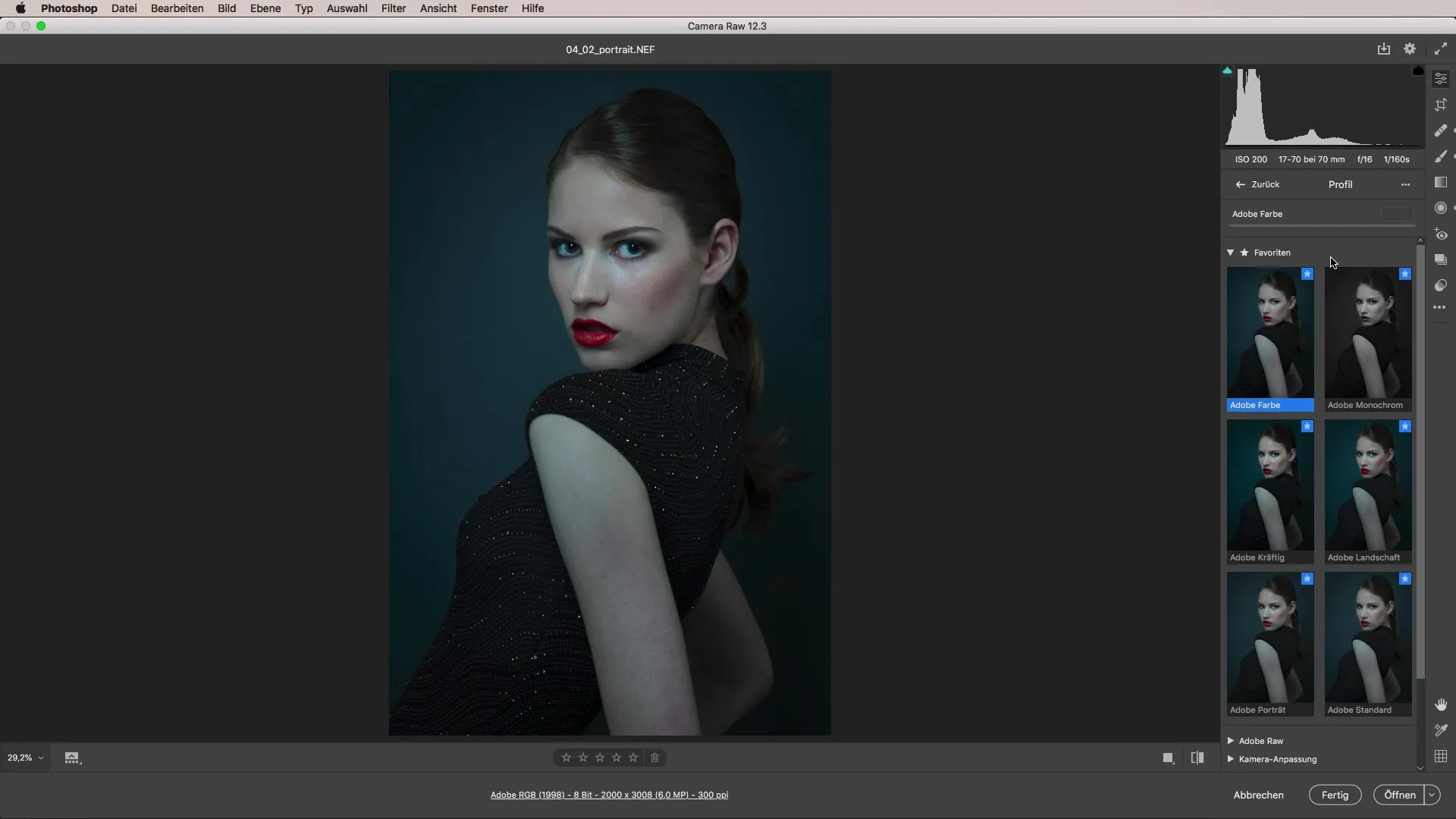 Portraits professionell bearbeiten mit Camera Raw