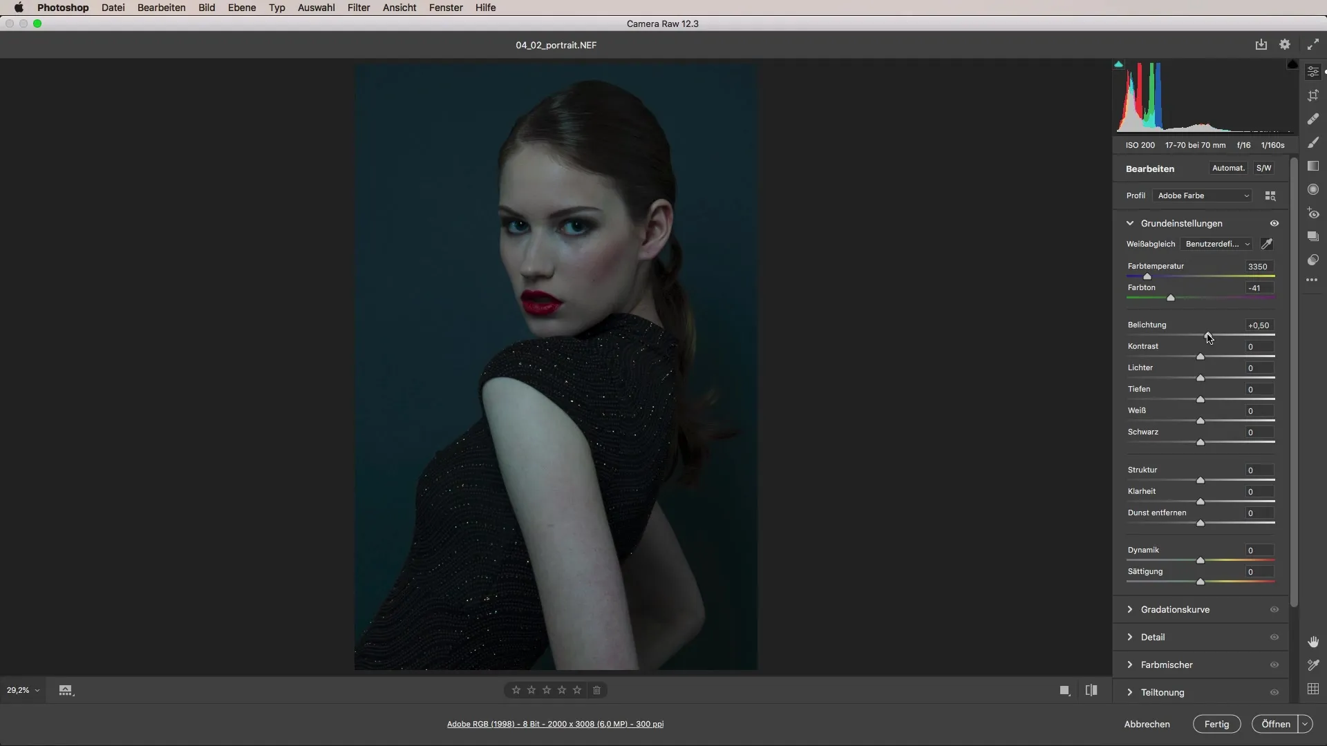 Portraits professionell bearbeiten mit Camera Raw