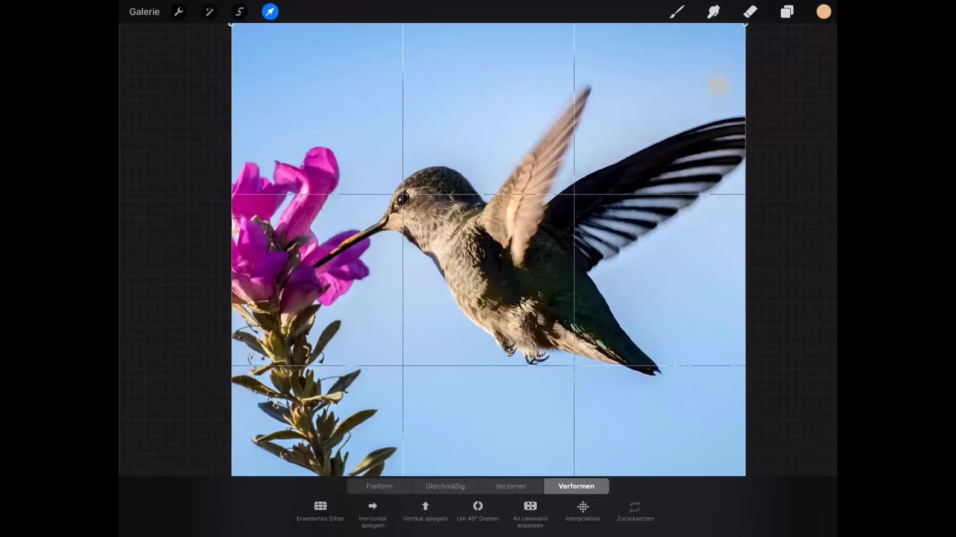 Fondamenti della trasformazione in Procreate: Padroneggiare il disegno efficiente