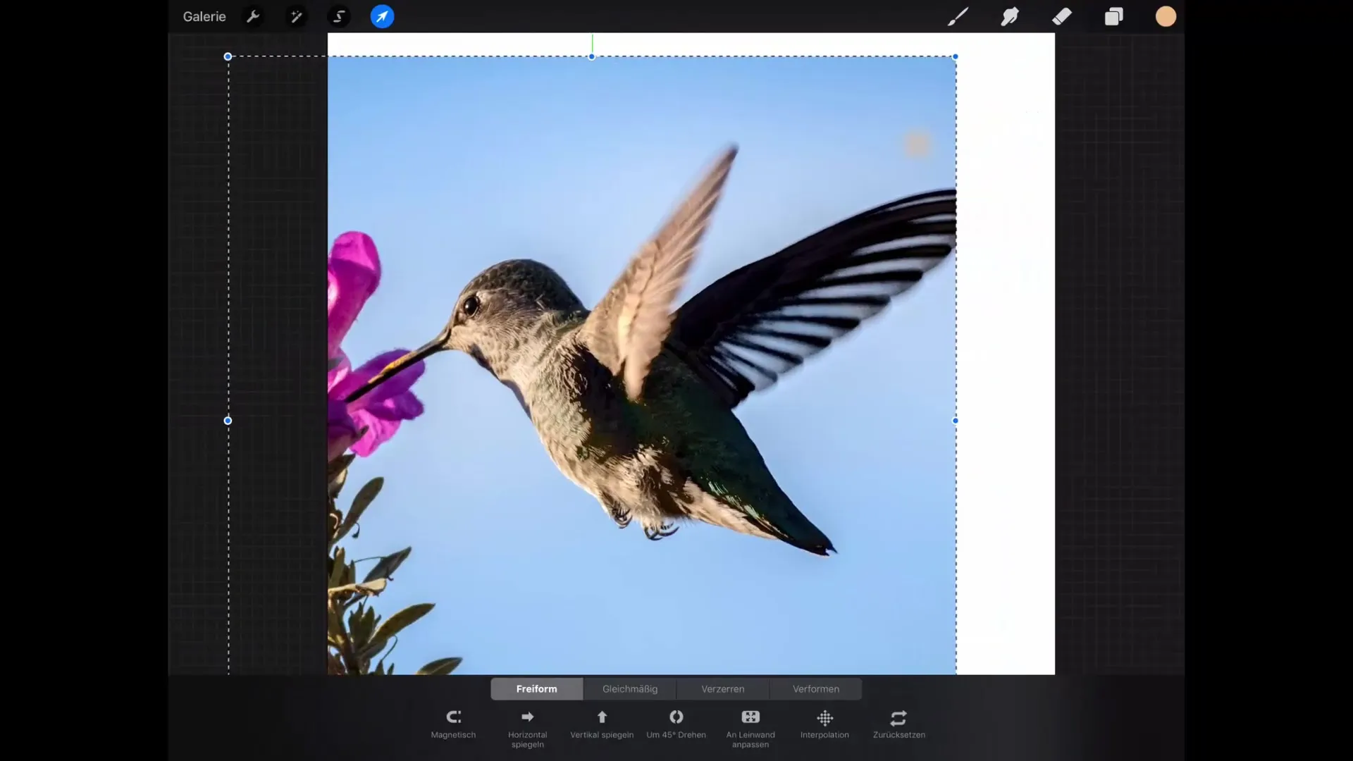 Fondamenti della trasformazione in Procreate: Maestria nel disegno efficiente