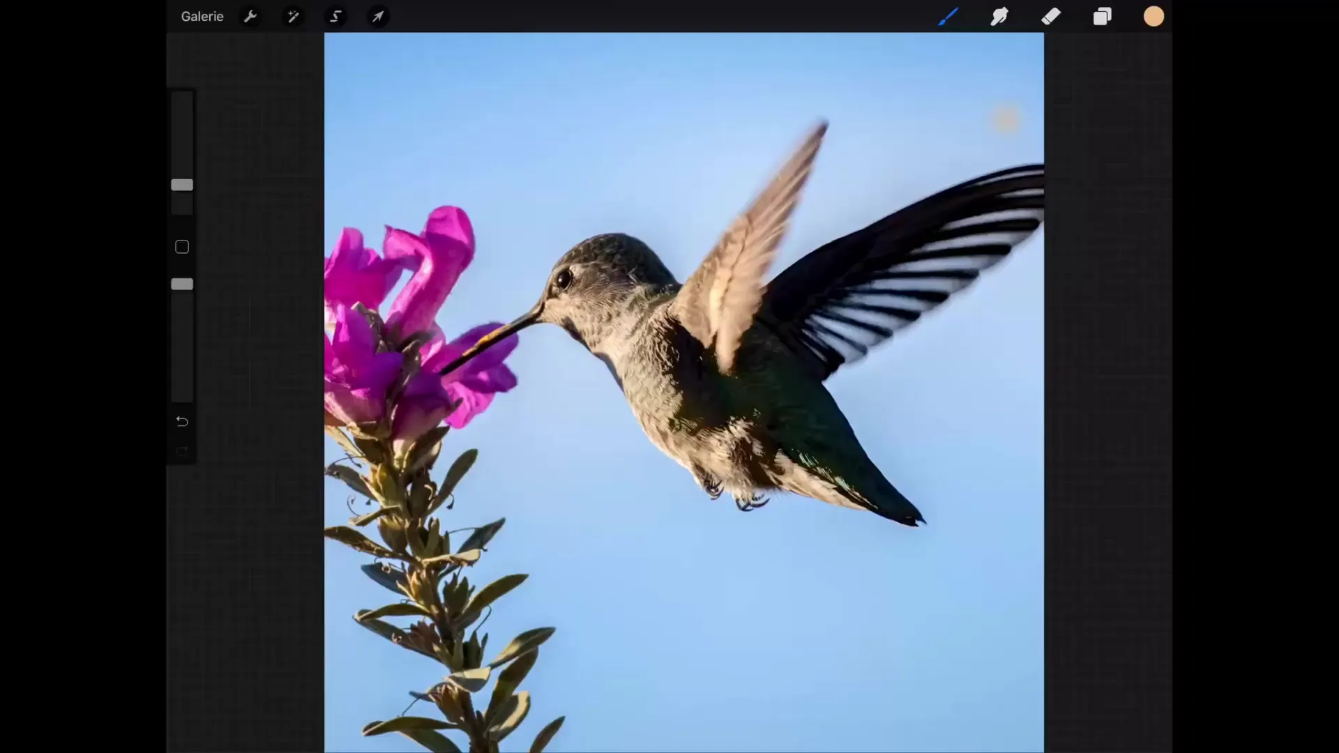 Fondamenti della trasformazione in Procreate: Padroneggiare il disegno in modo efficiente