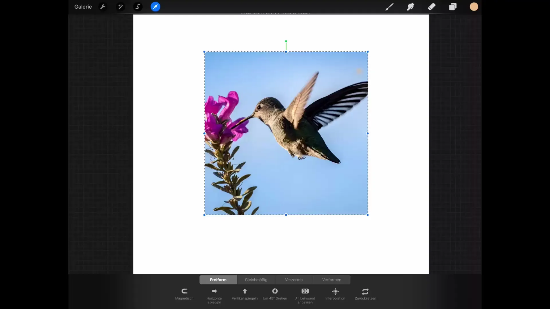 Fondamenti della trasformazione in Procreate: Padroneggiare il disegno in modo efficiente