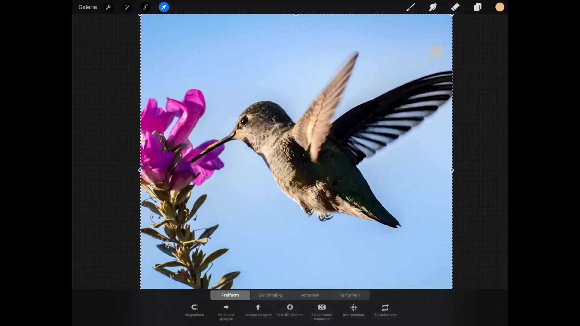 Fondamenti della trasformazione in Procreate: padroneggiare il disegno efficiente