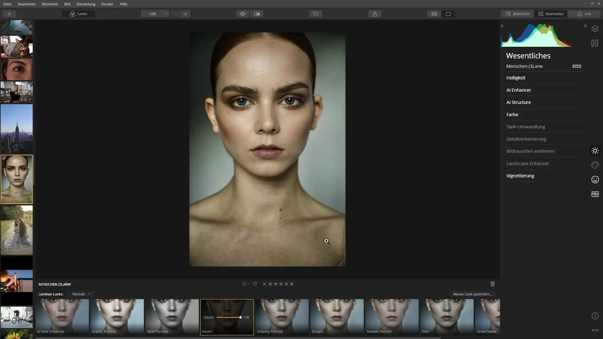 How to Effectively Use Luminar 4 Looks