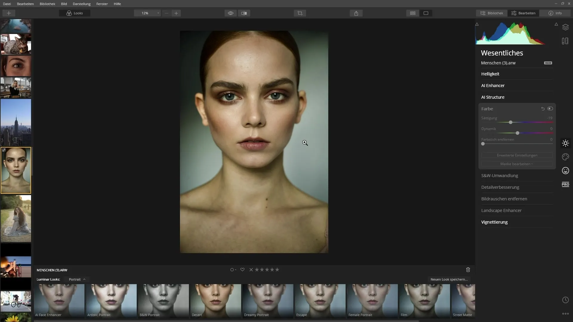 How to Effectively Use Luminar 4 Looks