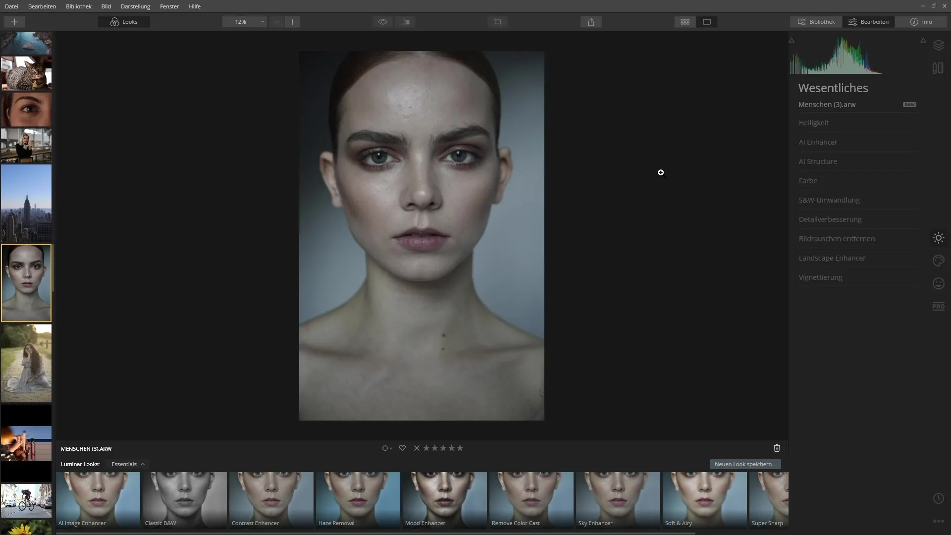 How to Effectively Apply Luminar 4 Looks