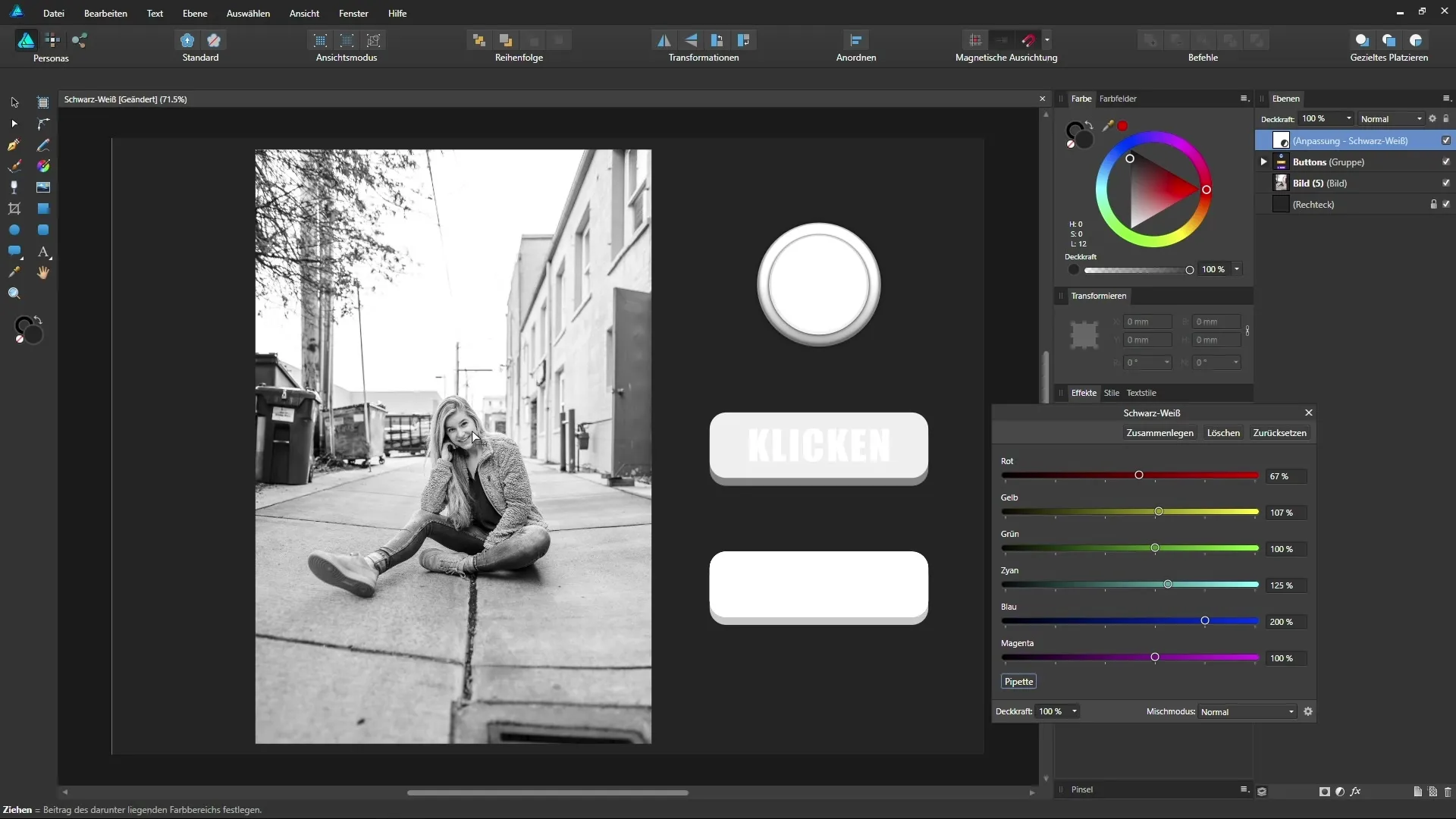 Schwarz-Weiß-Umwandlung in Affinity Designer leicht gemacht