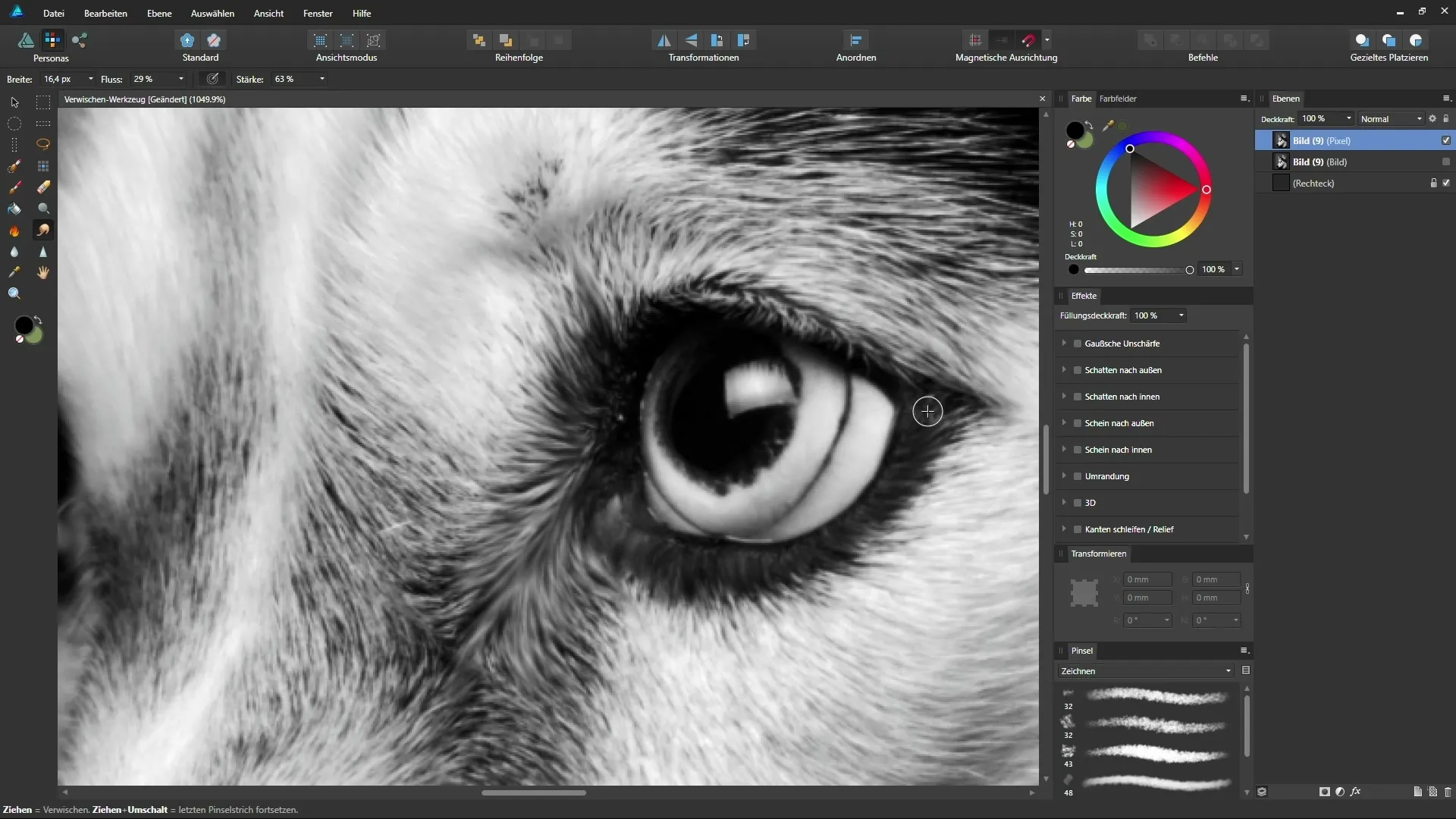 Affinity Designer: Verwischen-Werkzeug für malerische Effekte