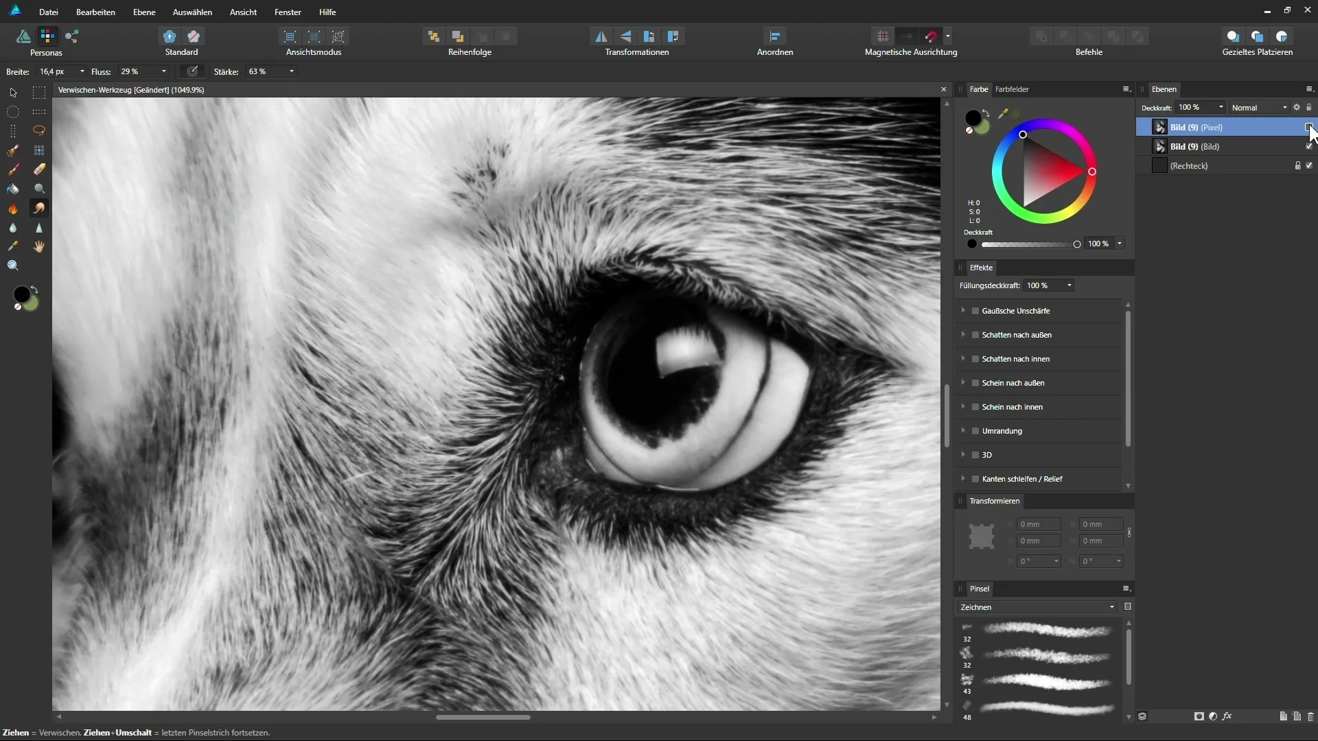 Affinity Designer: Verwischen-Werkzeug für malerische Effekte