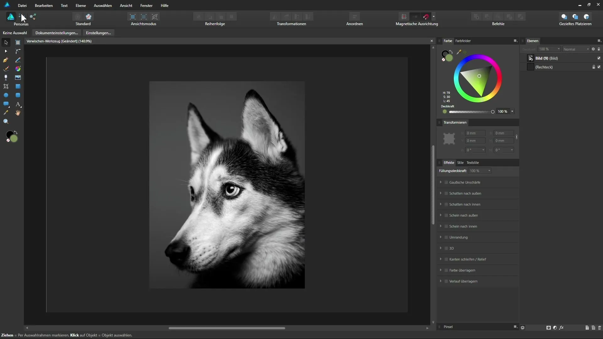 Affinity Designer: Verwischen-Werkzeug für malerische Effekte
