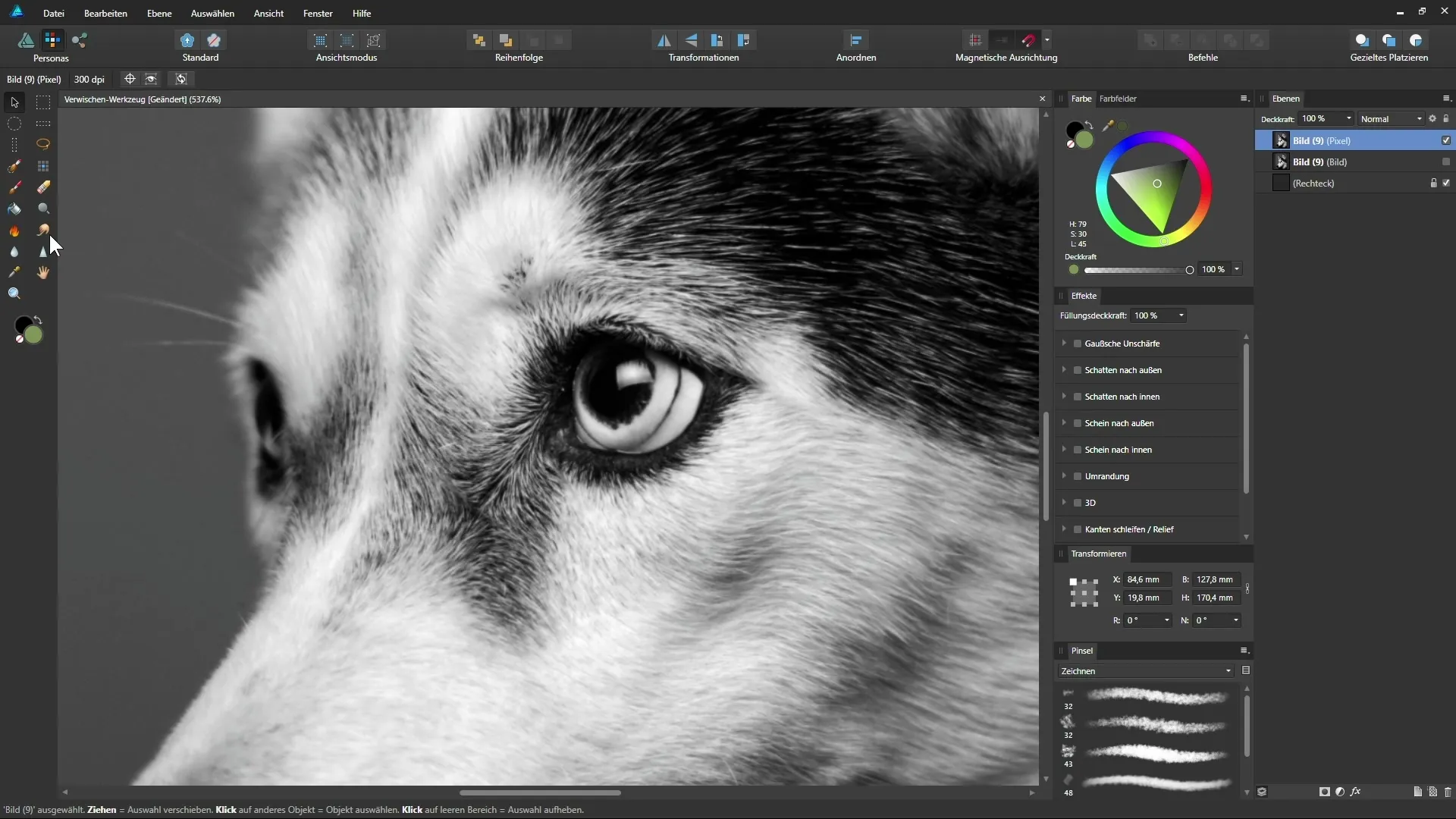 Affinity Designer: Verwischen-Werkzeug für malerische Effekte