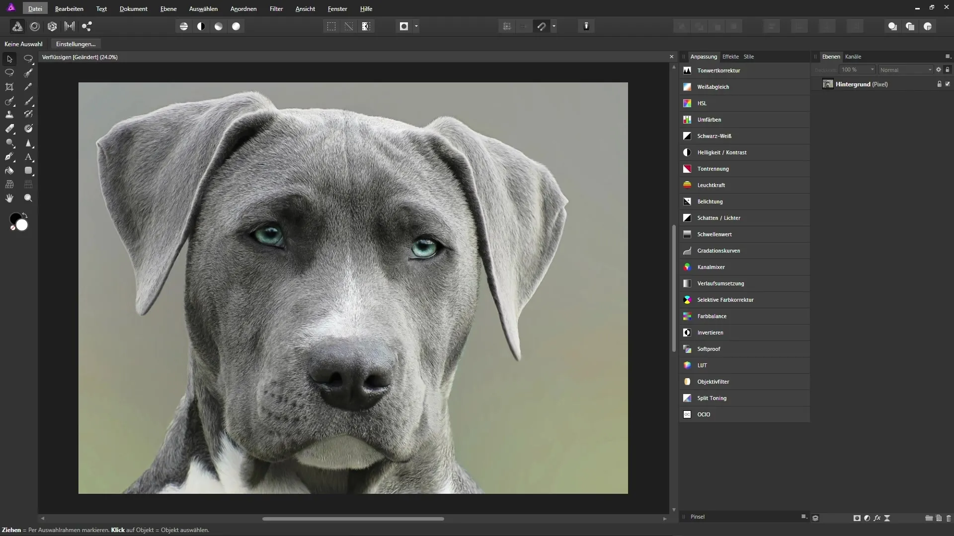 Affinity Photo – Liquify Persona professionell nutzen Affinity Photo – Liquify Persona professionell nutzen