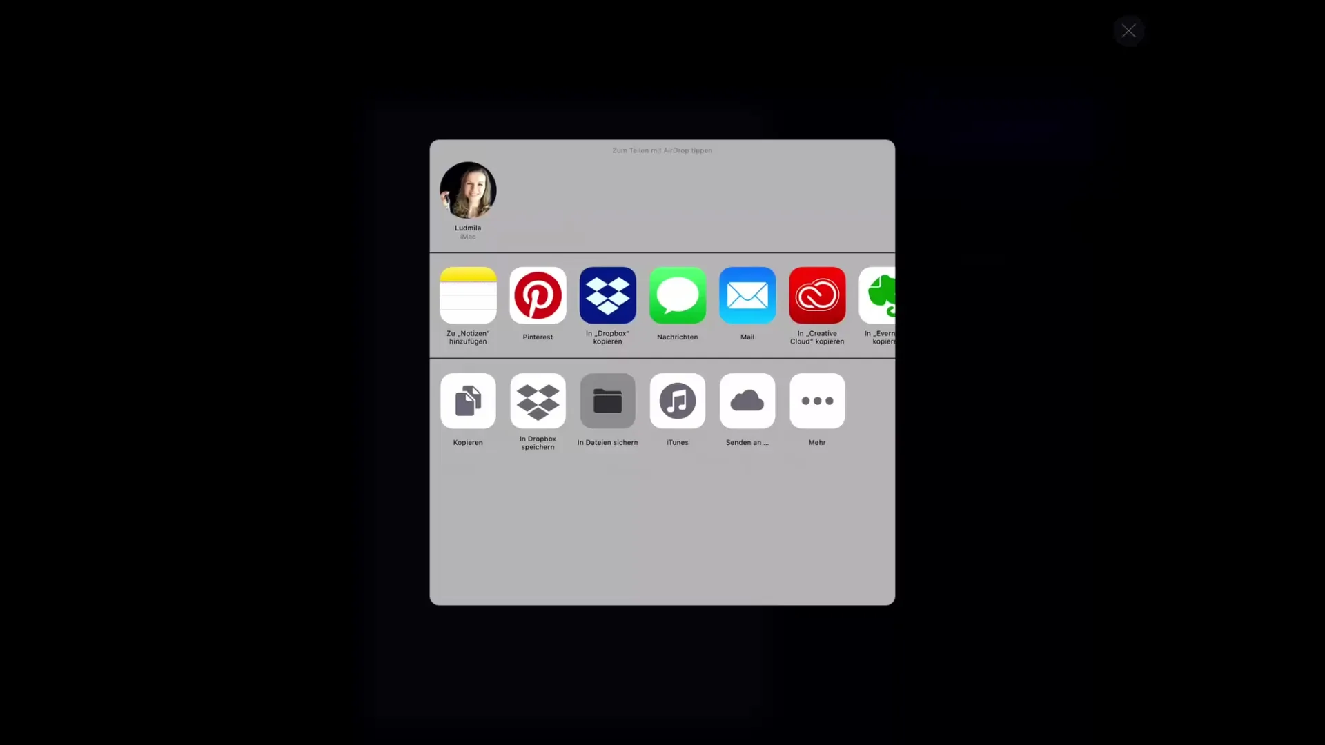 Pinsel effektiv exportieren und importieren in Procreate