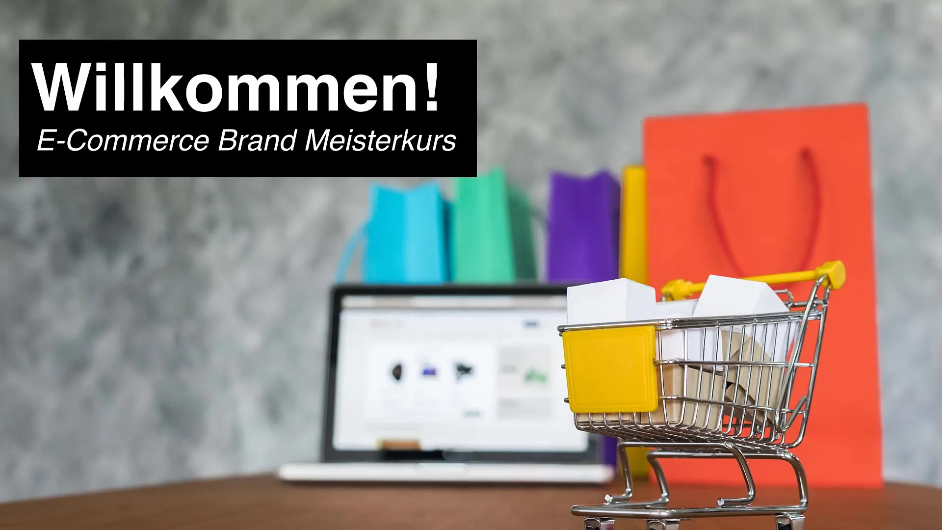 E-commerce course: What to expect in the course
