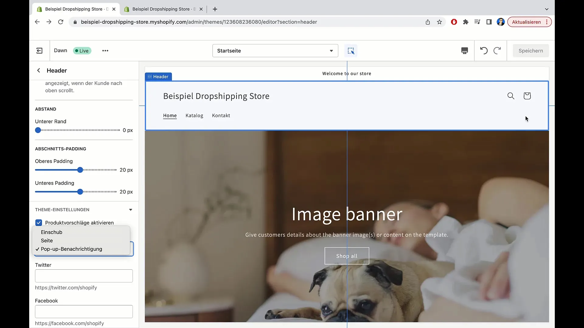 Optimering av varukorgsdesign och integration av sociala konton i Shopify