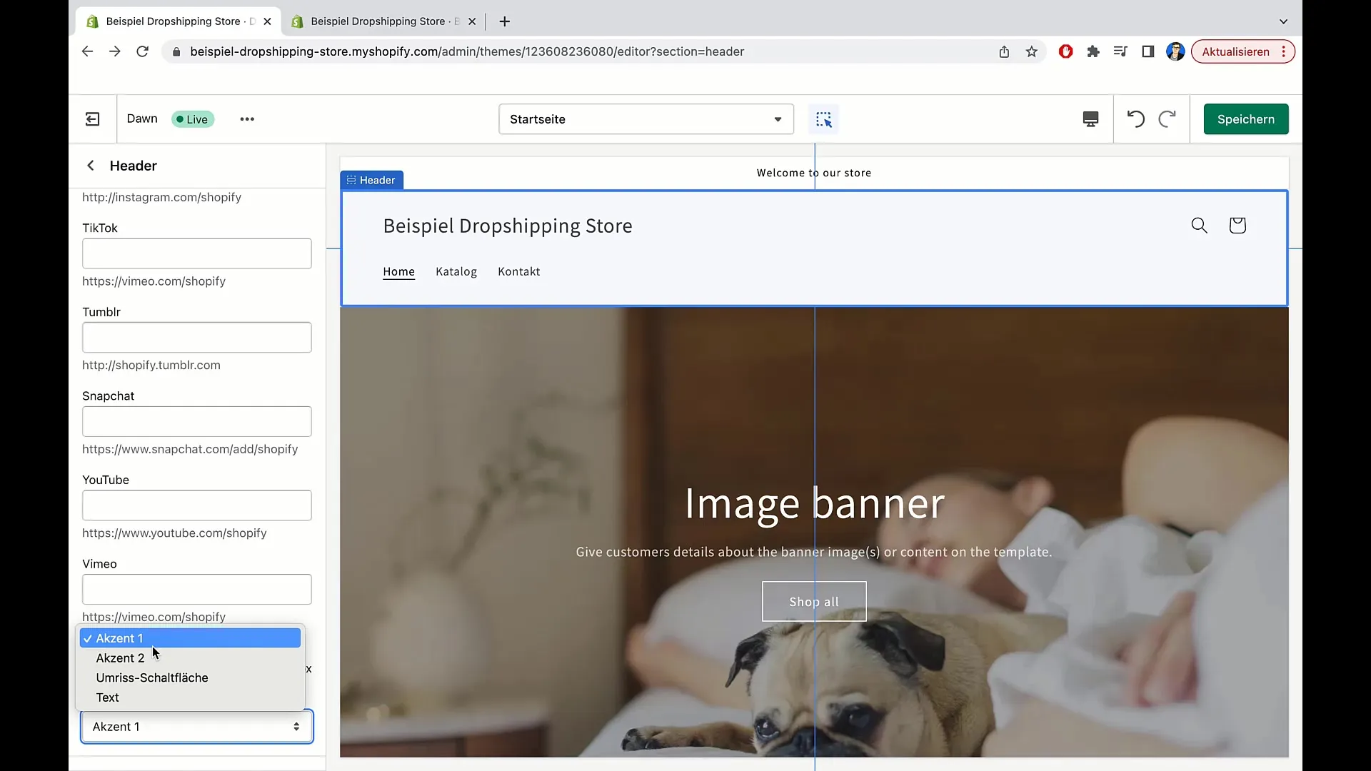 Optimering av varukorgsdesign och integration av sociala konton i Shopify