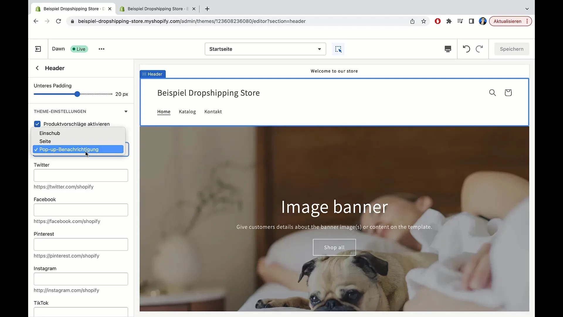 Optimering av varukorgsdesign och integration av sociala konton i Shopify
