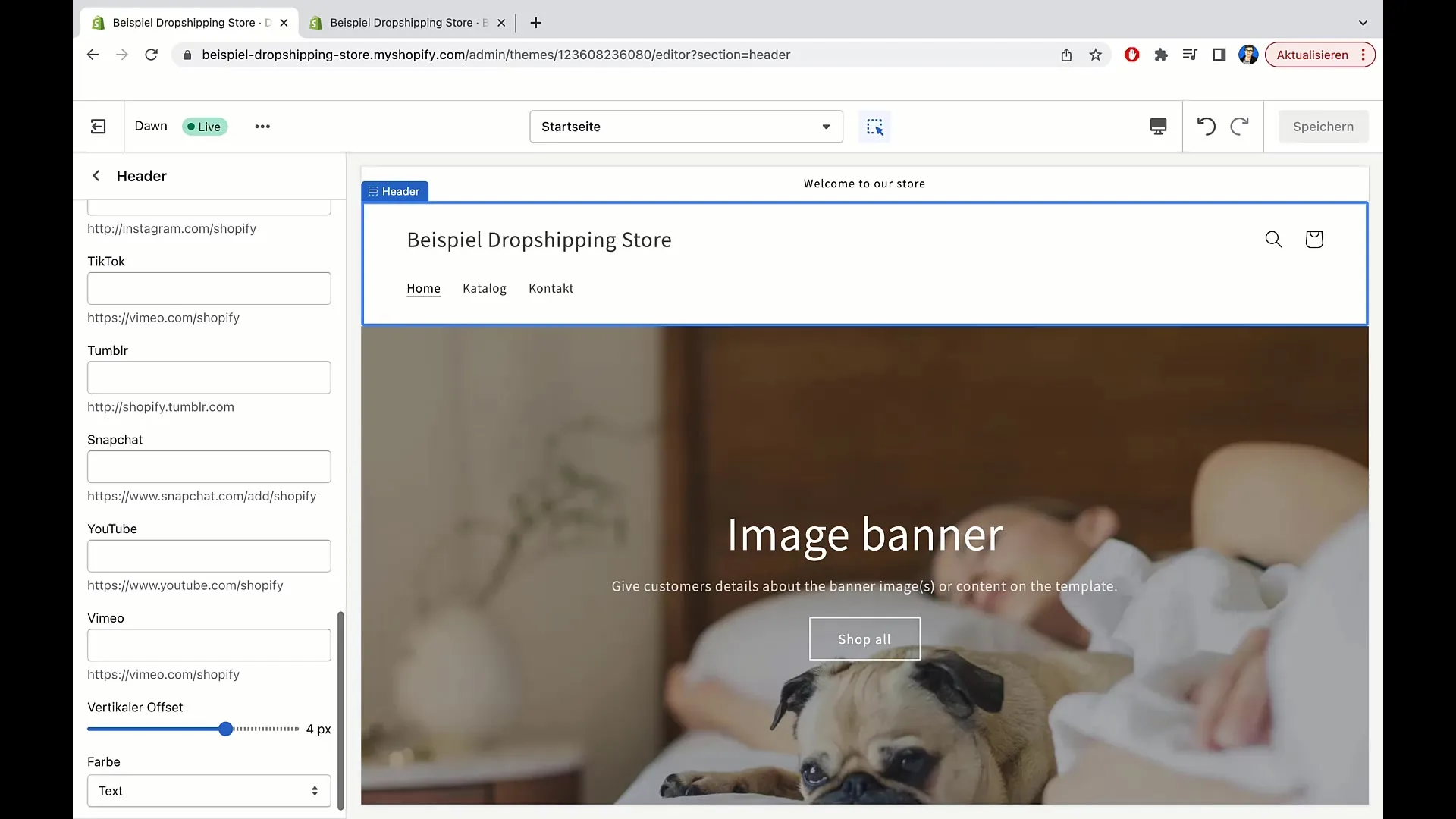 Optimering av varukorgsdesign och integrering av sociala konton i Shopify