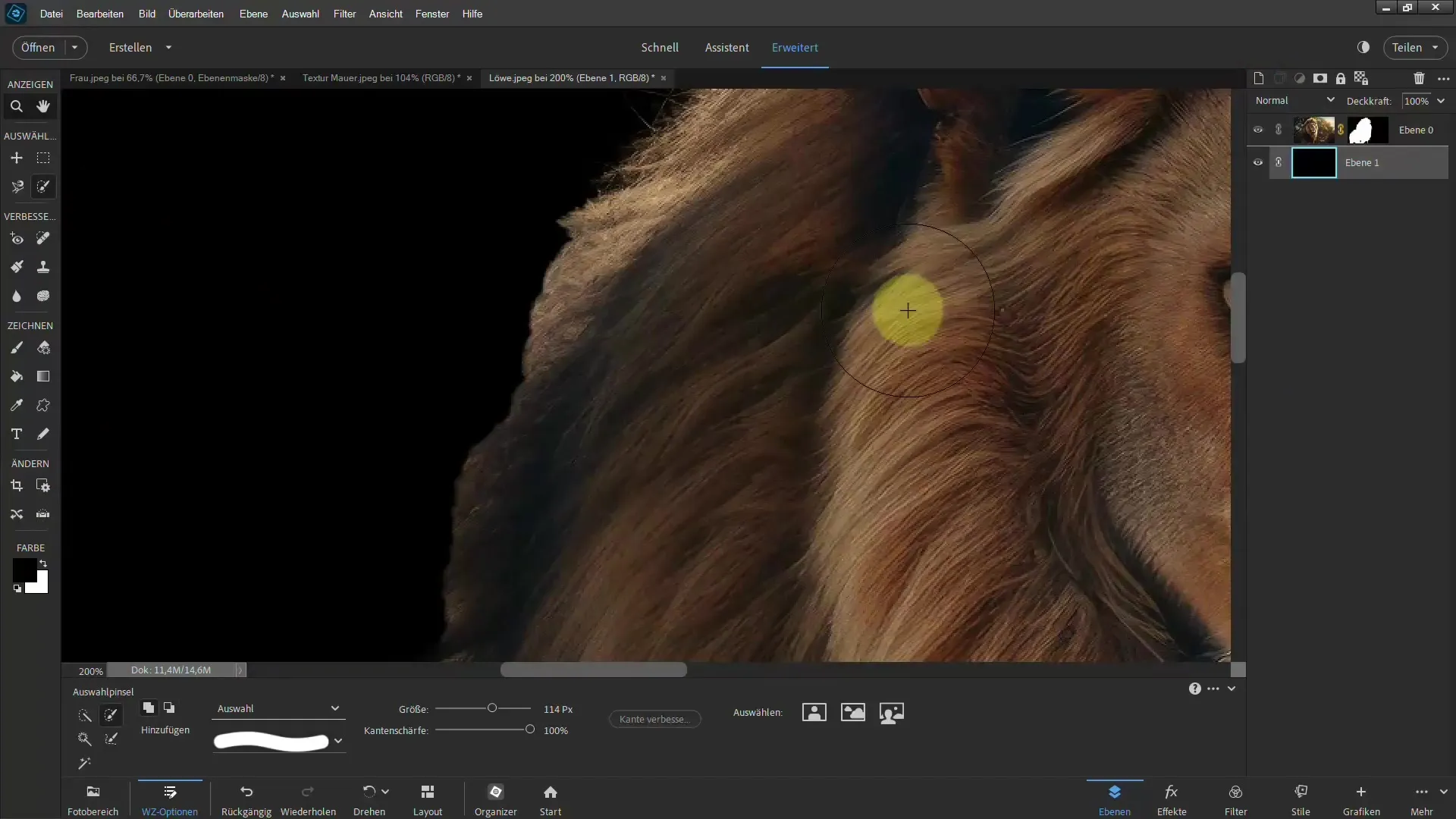 Erityisesti Photoshop Elements – askel askeleelta opas
