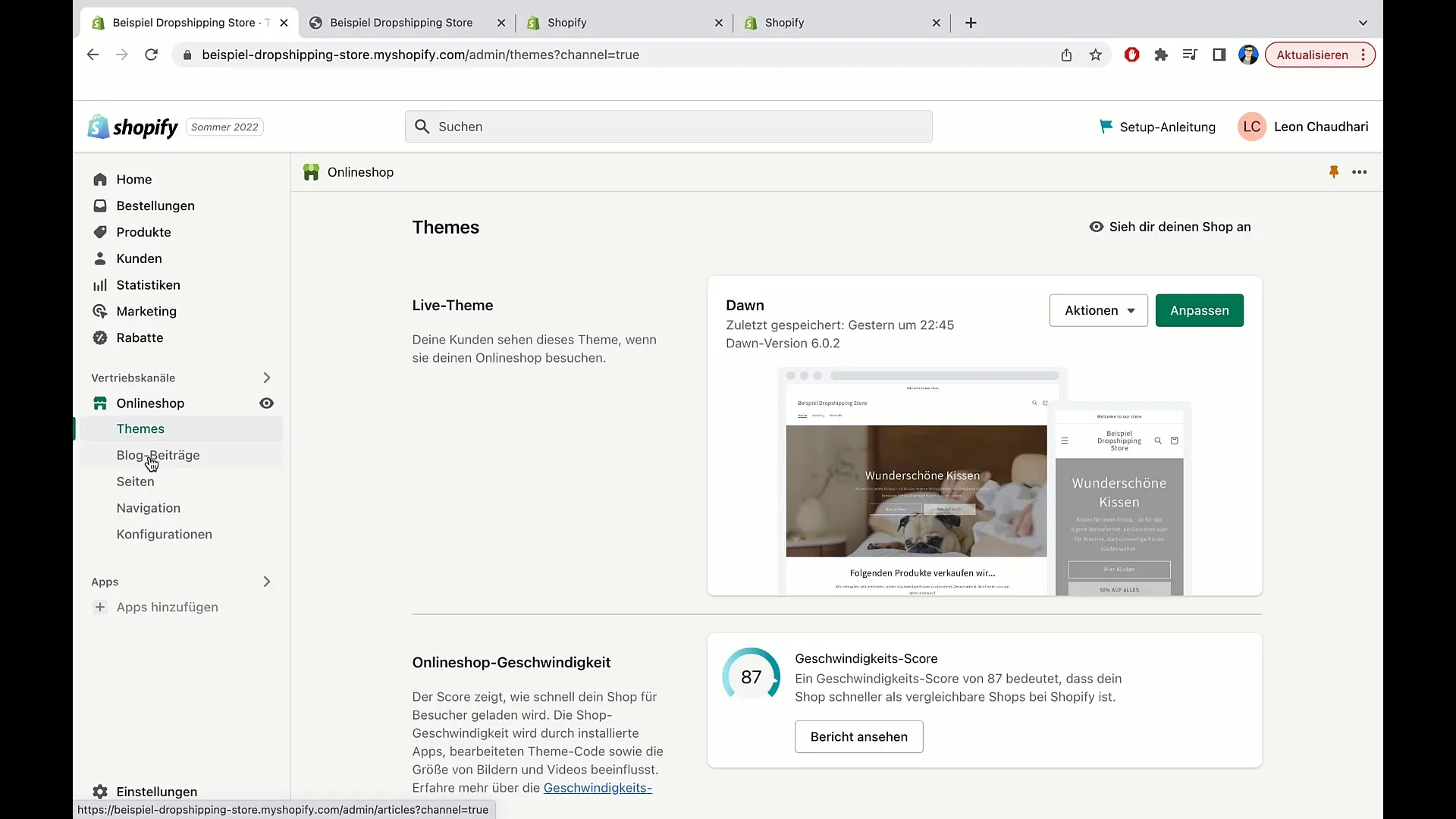 Blog-Beiträge erfolgreich in Shopify erstellen Blog-Beiträge erfolgreich in Shopify erstellen