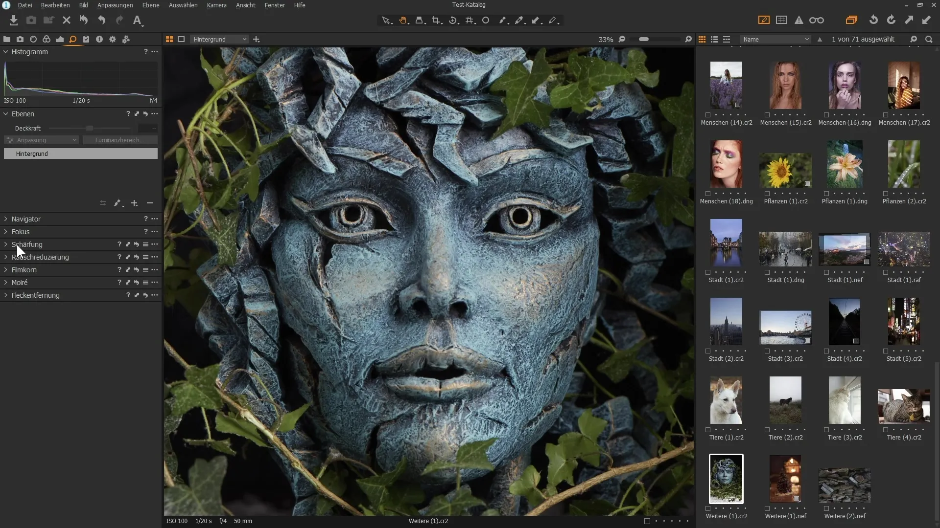 Capture One Pro: Använda detaljerverktyg effektivt Capture One Pro: Använda detaljverktyg effektivt