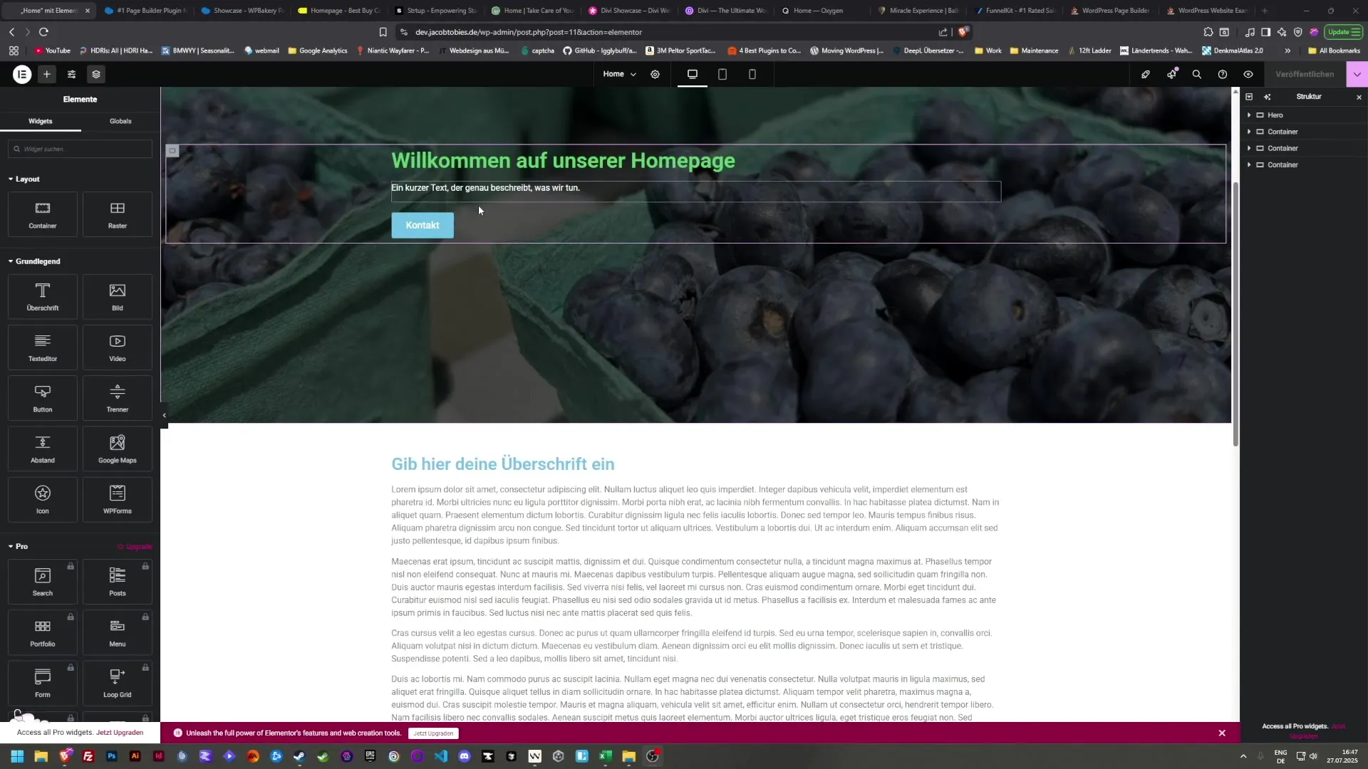 WPBakery und Andere: Alternativen zu Elementor