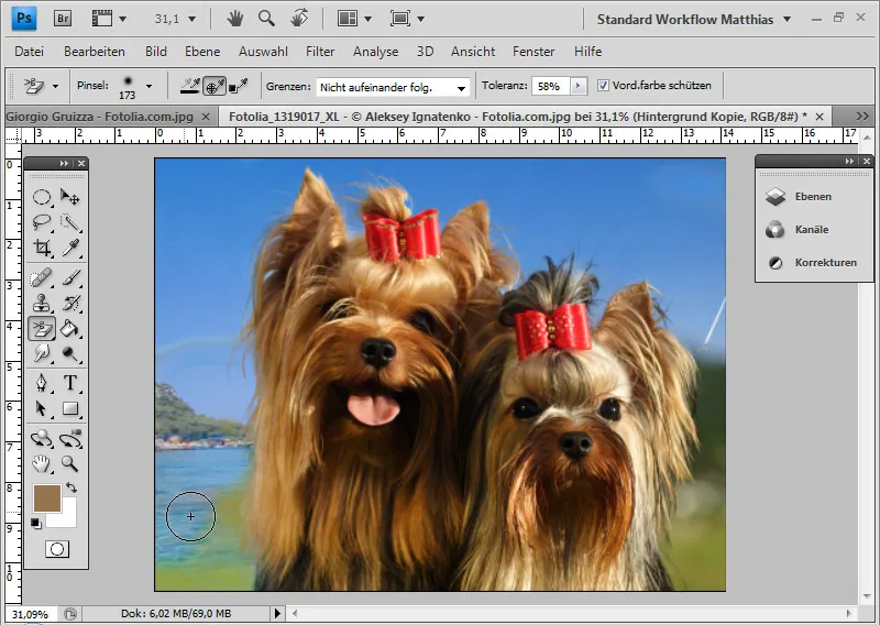 Extreme hair clipping - the tricks for problem cases and difficult conditions