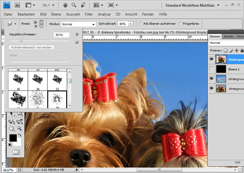 Extreme hair clipping - the tricks for problem cases and difficult conditions