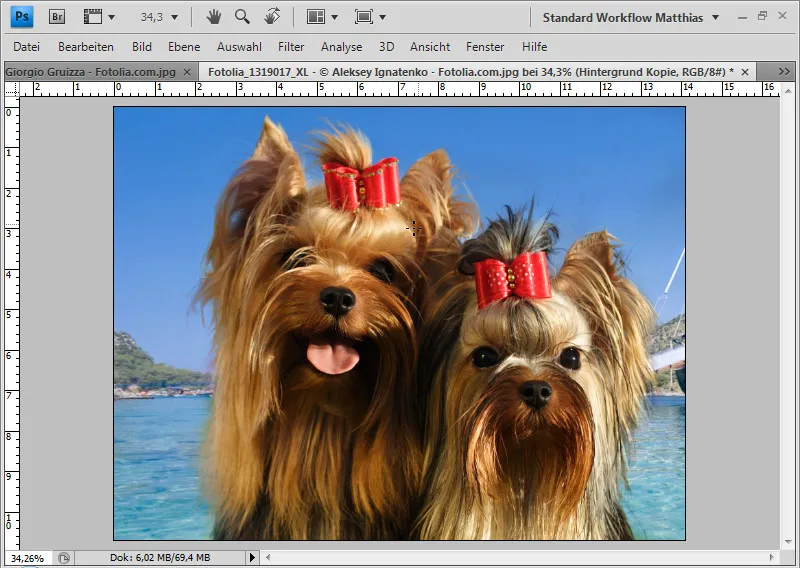 Extreme hair clipping - the tricks for problem cases and difficult conditions