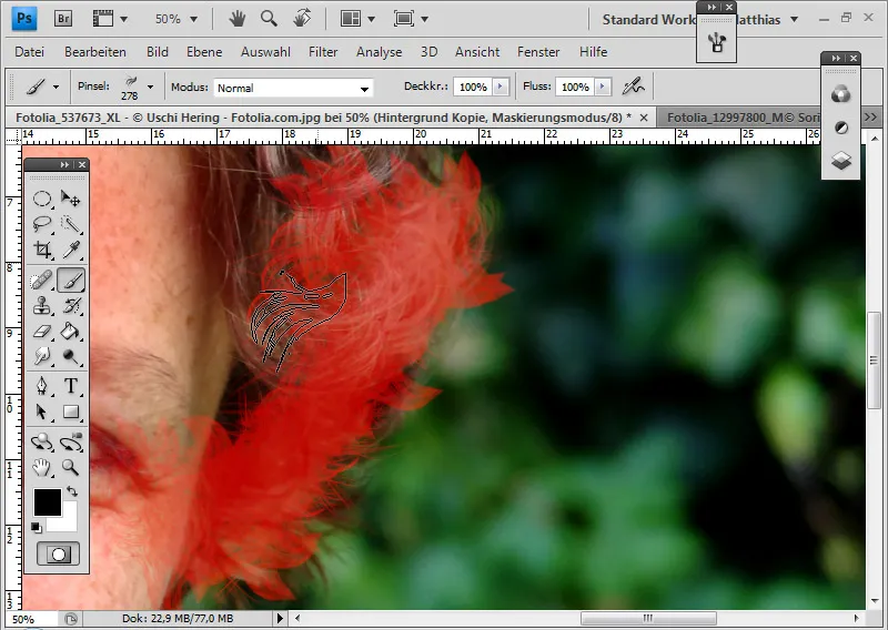 Extreme hair clipping - the tricks for problem cases and difficult conditions