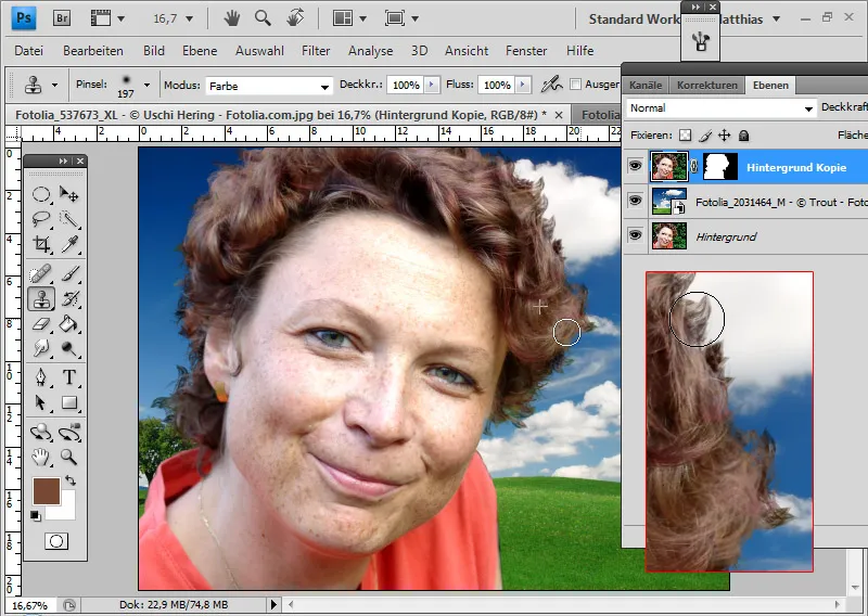 Extreme hair clipping - the tricks for problem cases and difficult conditions