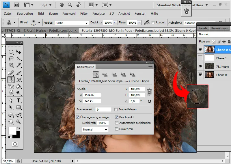 Extreme hair clipping - the tricks for problem cases and difficult conditions