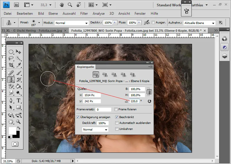 Extreme hair clipping - the tricks for problem cases and difficult conditions