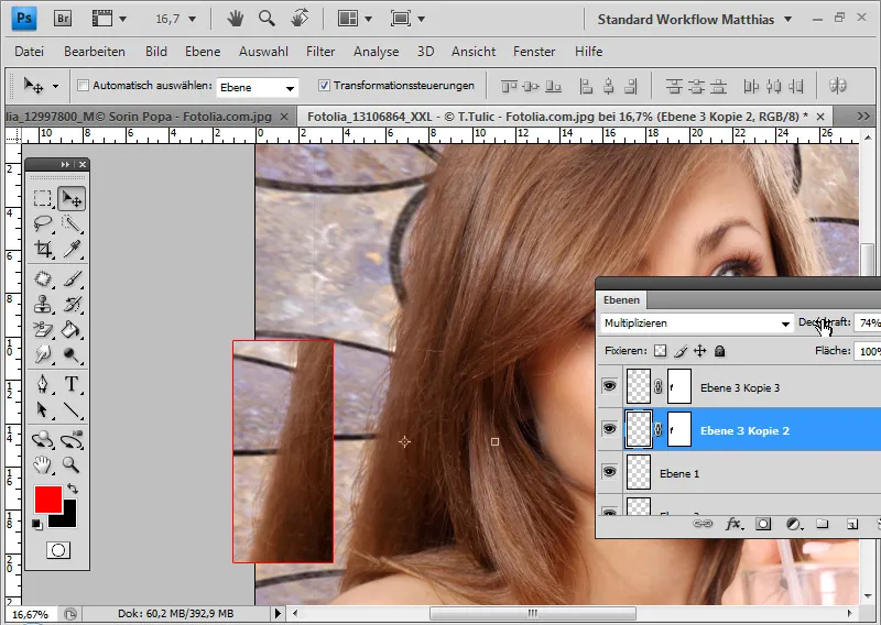 Extreme hair clipping - the tricks for problem cases and difficult conditions