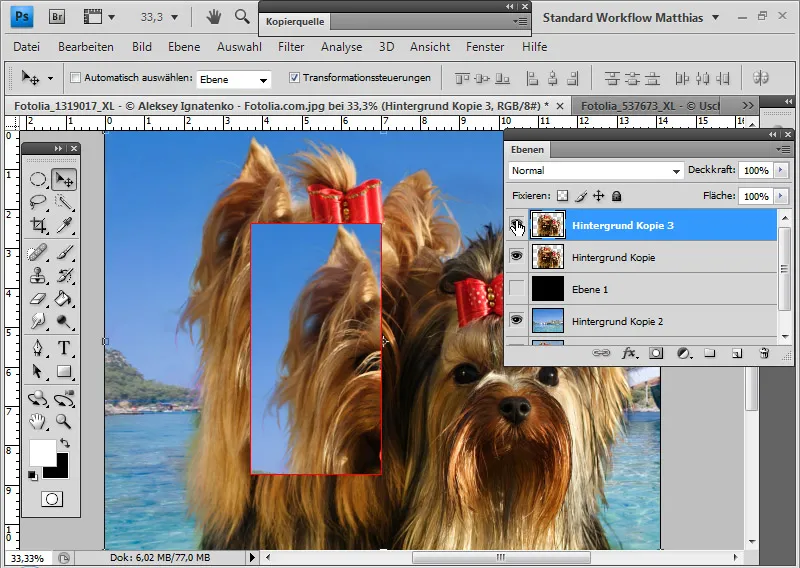 Extreme hair clipping - the tricks for problem cases and difficult conditions