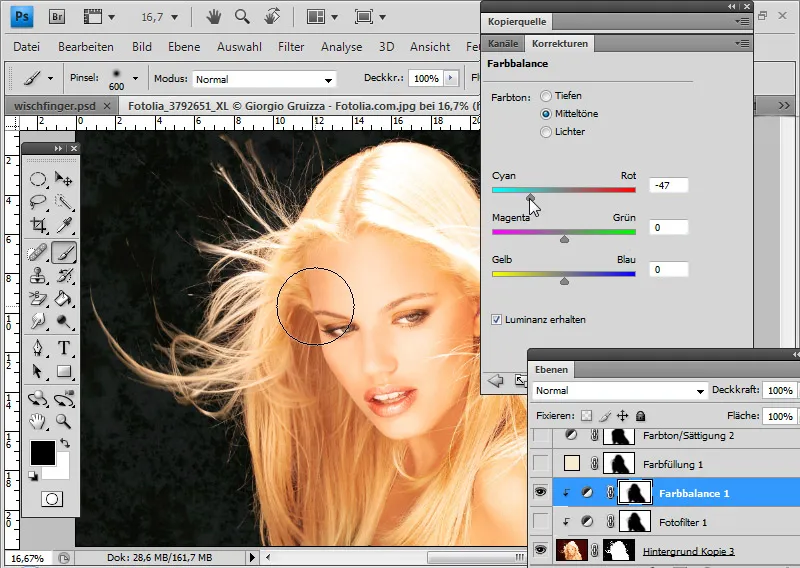 Extreme hair clipping - the tricks for problem cases and difficult conditions