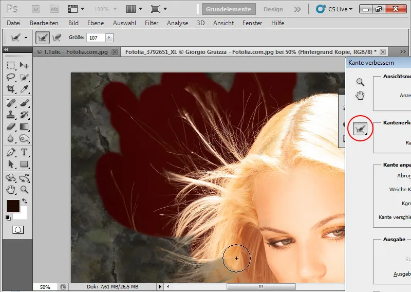 Nye funktioner i Photoshop CS5: Forbedre kanter og intelligente masker
