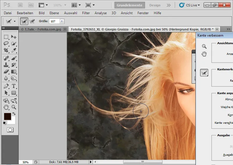 Nye funktioner i Photoshop CS5: Forbedring af kanter og intelligente masker
